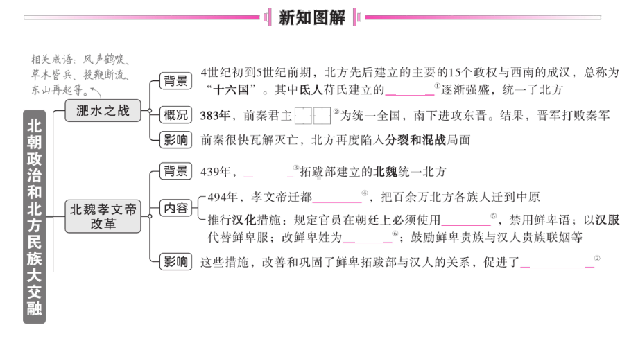 初中历史新人教版七年级上册第四单元第19课 北朝政治和北方民族大交融作业课件2024秋.pptx_第2页