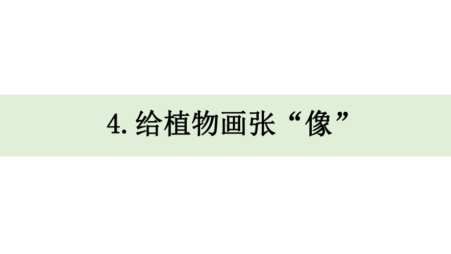 一上1-4《给植物画张“像”》课件.pptx-2024新教科版一年级上册_第1页