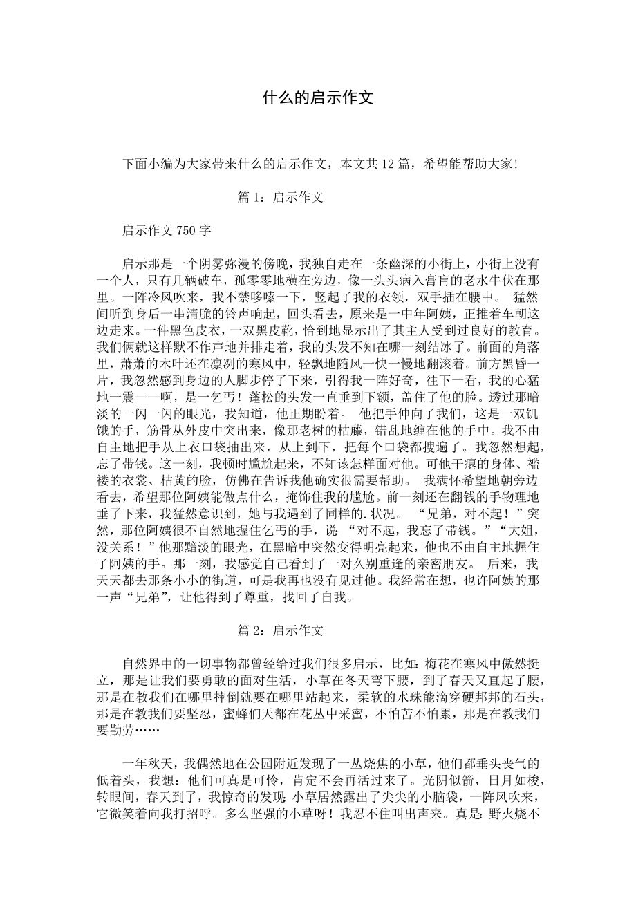 什么的启示作文.docx_第1页