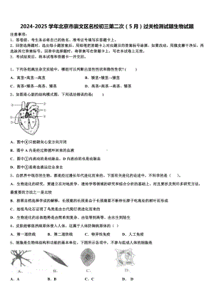 2024-2025学年北京市崇文区名校初三第二次(5月)过关检测试题生物试题含解析.doc