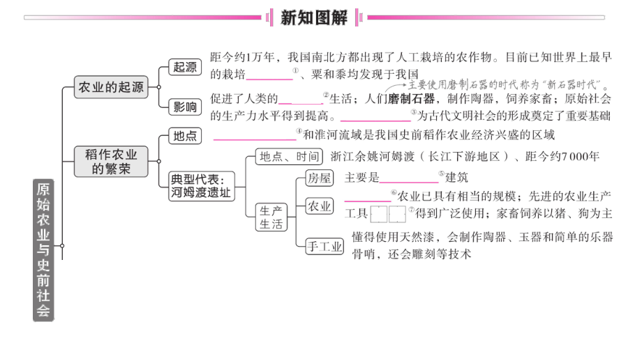 初中历史新人教版七年级上册第一单元第2课 原始农业与史前社会作业课件2024秋.pptx_第2页