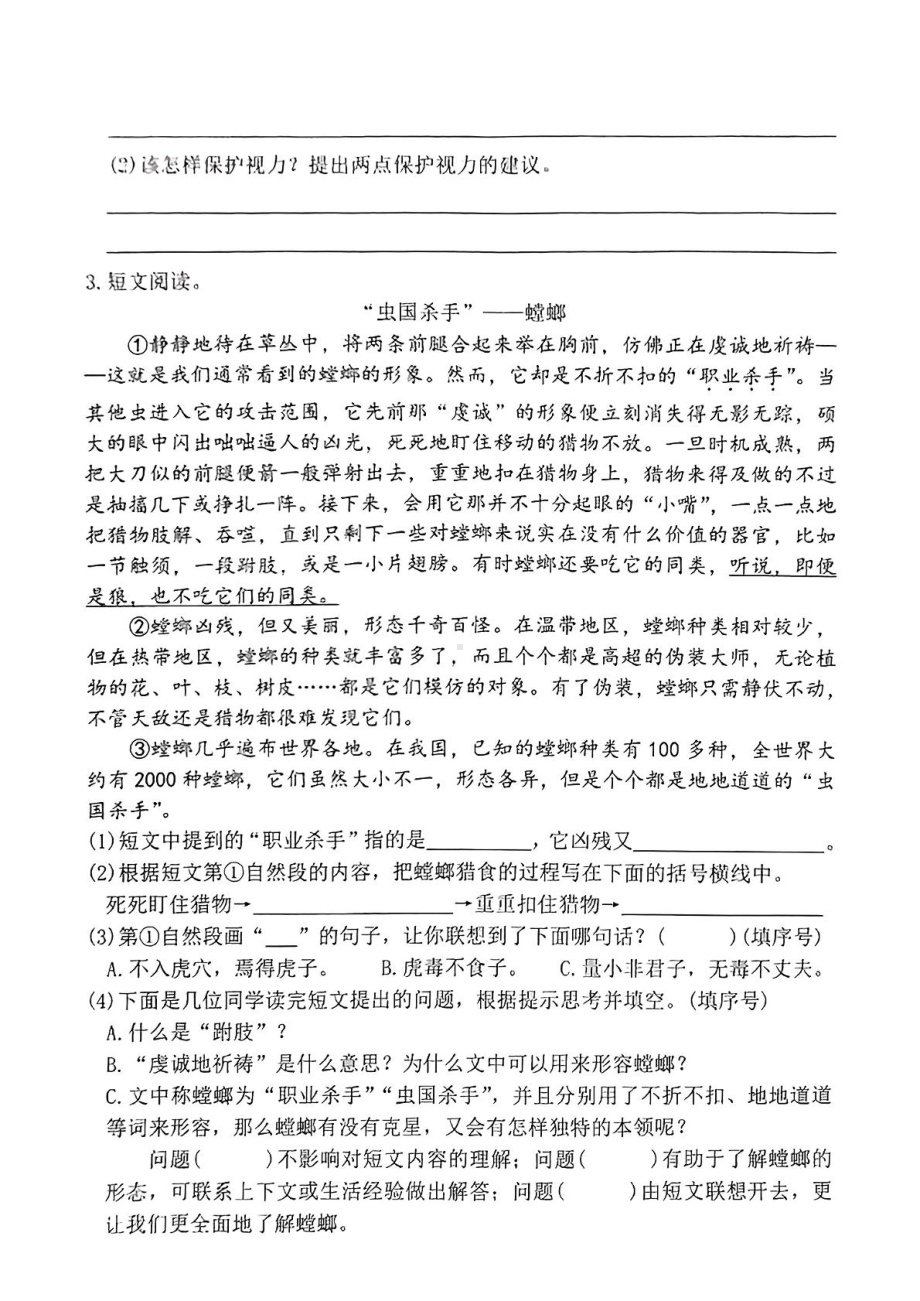 广东省汕头市金平区2024-2025学年四年级上学期期中语文试题.pdf_第3页