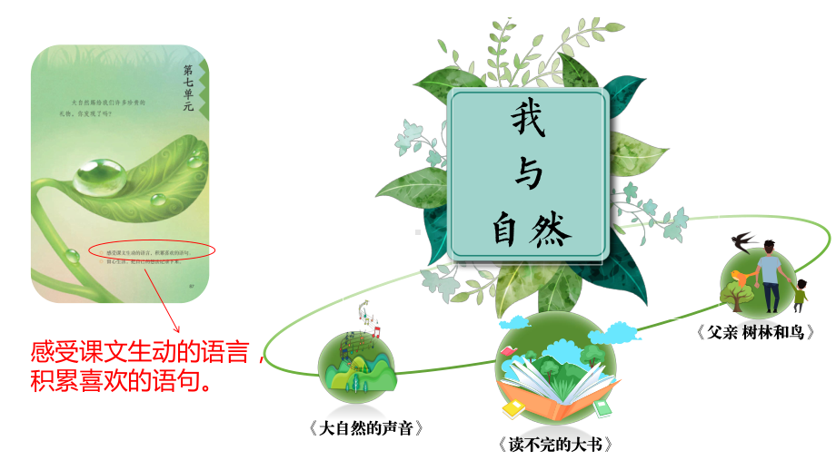 部编版小学语文三年级上册《读不完的大书》优秀公开课课件.pptx_第1页