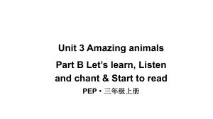 小学英语新人教版PEP三年级上册Unit 3 Amazing animalsPart B 第5课时教学课件（2024秋）.pptx