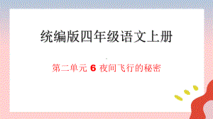 统编版四年级语文上册6 夜间飞行的秘密课件.pptx