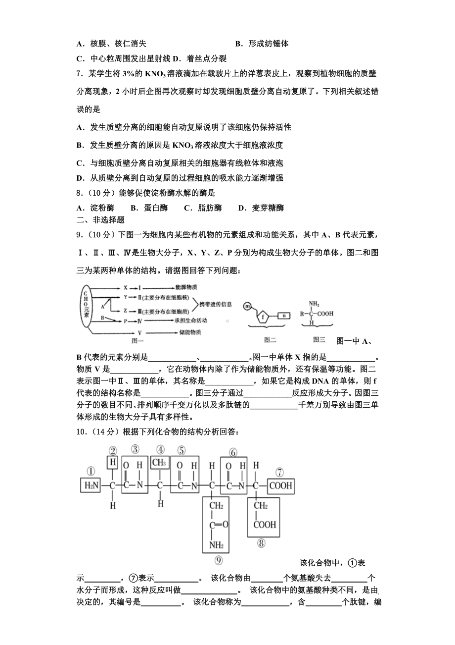 2023-2024学年河南周口市生物高一上期末综合测试模拟试题含解析.doc_第2页