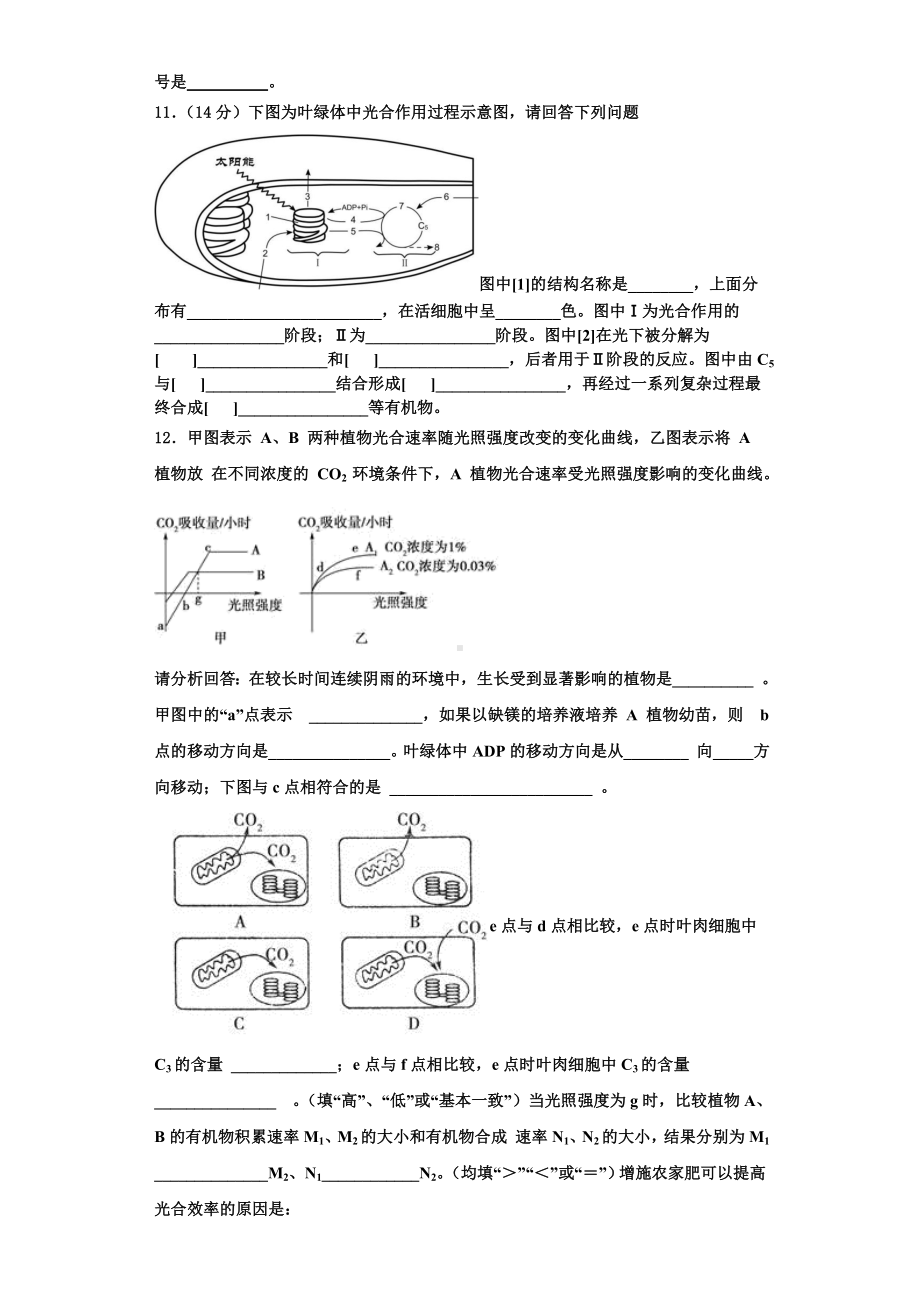 2023-2024学年河南周口市生物高一上期末综合测试模拟试题含解析.doc_第3页