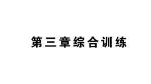 初中数学新北师大版七年级上册第三章 整式及其加减综合训练课件2024秋.pptx