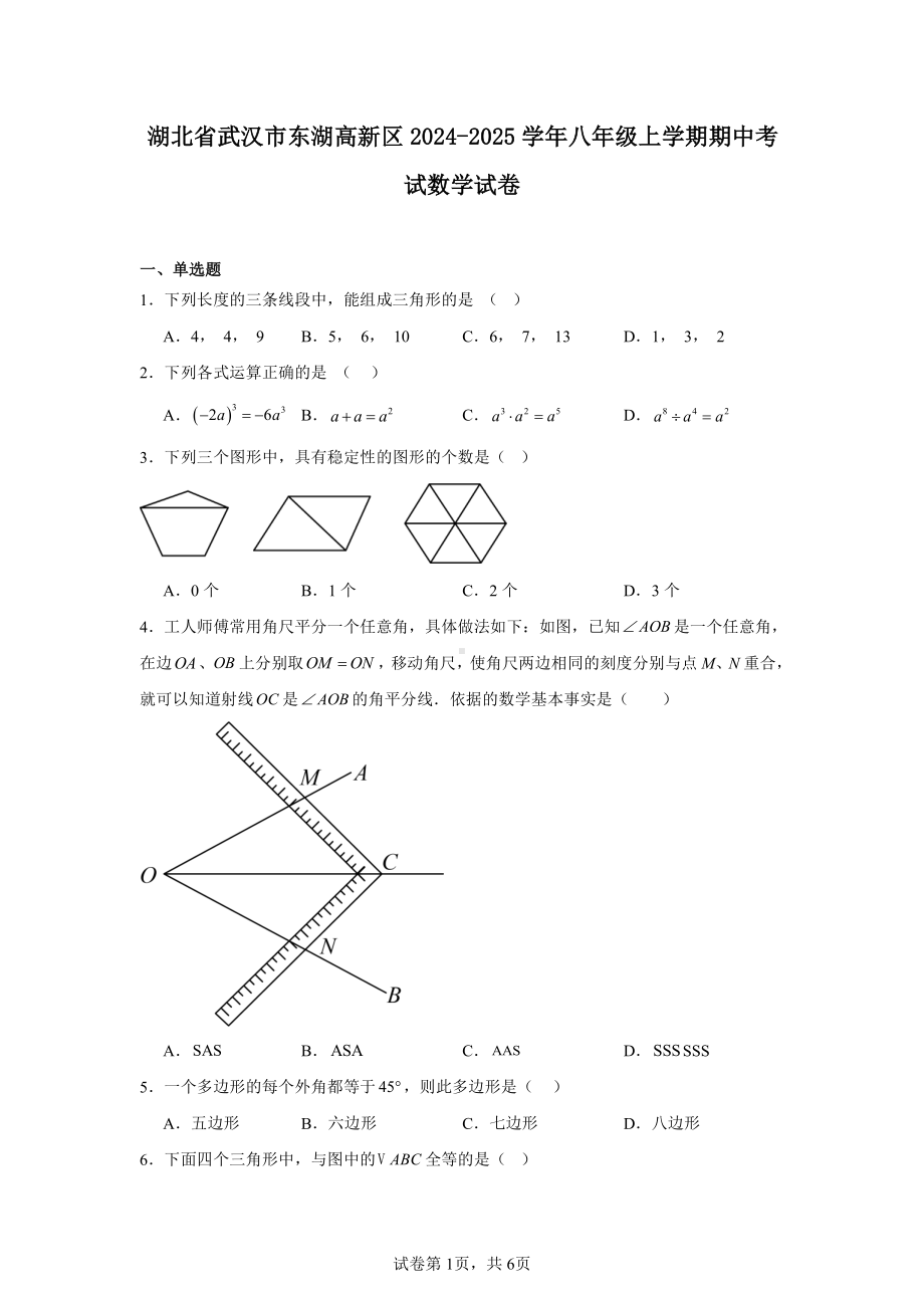 湖北省武汉市东湖高新区2024-2025学年八年级上学期期中考试数学试卷.pdf_第1页