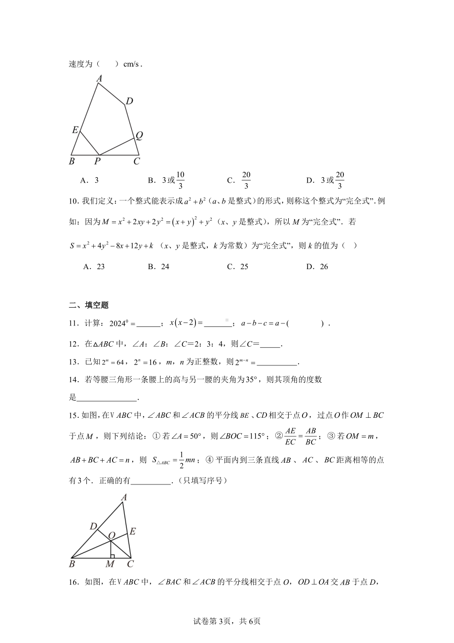 湖北省武汉市东湖高新区2024-2025学年八年级上学期期中考试数学试卷.pdf_第3页