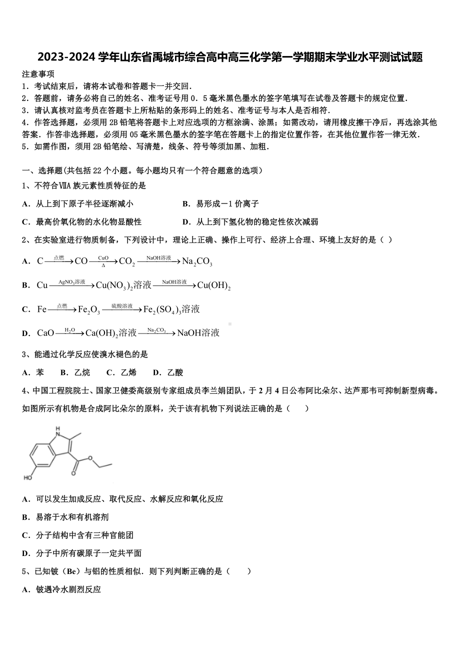 2023-2024学年山东省禹城市综合高中高三化学第一学期期末学业水平测试试题含解析.doc_第1页