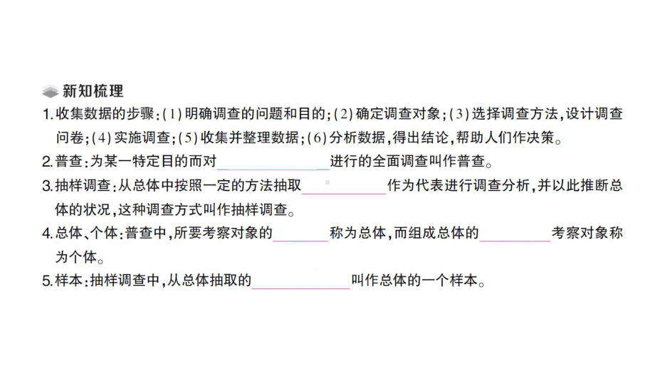 初中数学新北师大版七年级上册6.2第1课时 数据的收集课堂作业课件2024秋.pptx_第2页