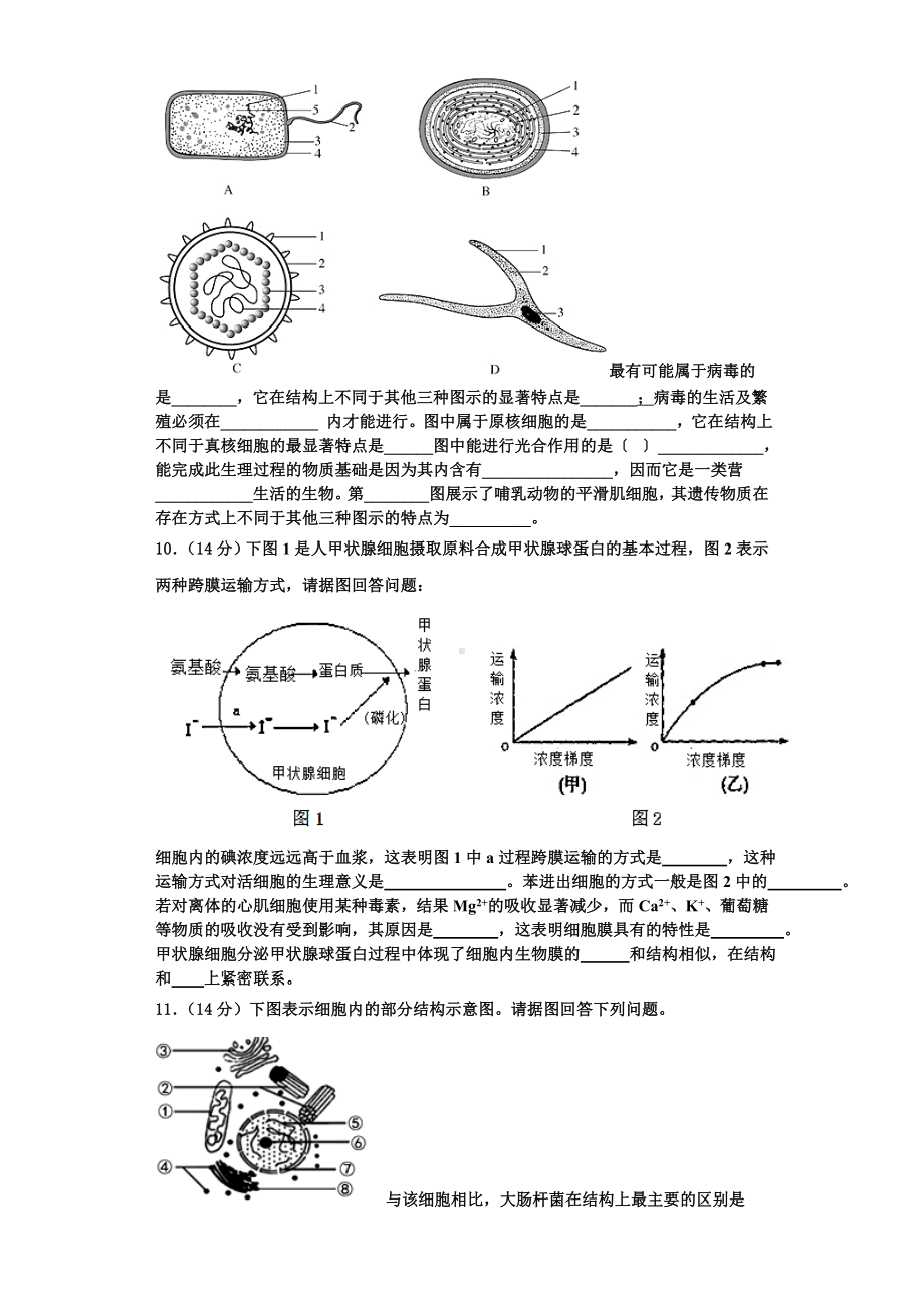 上海外国语大学附属外国语学校2023年生物高一上期末教学质量检测试题含解析.doc_第3页