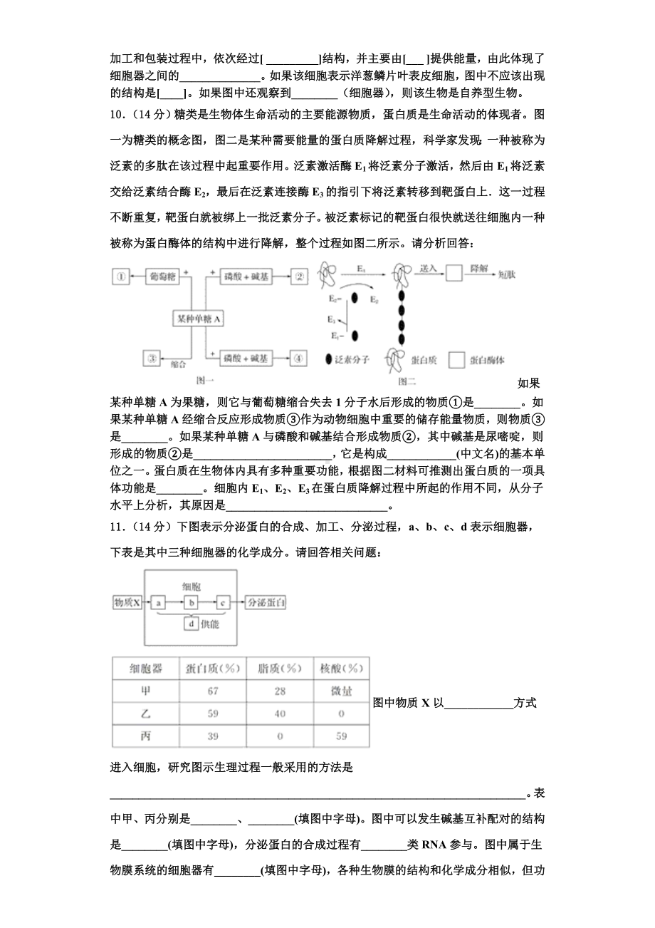 2023-2024学年山西省新绛县第二中学高一生物第一学期期末综合测试模拟试题含解析.doc_第3页