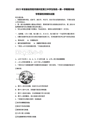 2023年安徽省阜阳市颍州区第三中学生物高一第一学期期末教学质量检测模拟试题含解析.doc