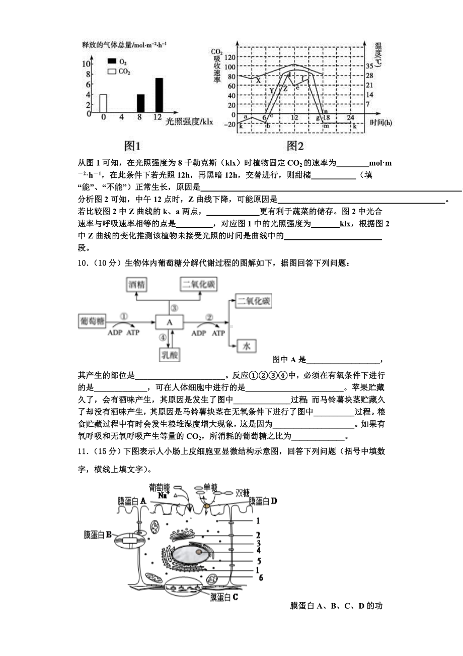 河北雄安新区博奥高级中学2023年生物高一第一学期期末复习检测模拟试题含解析.doc_第3页