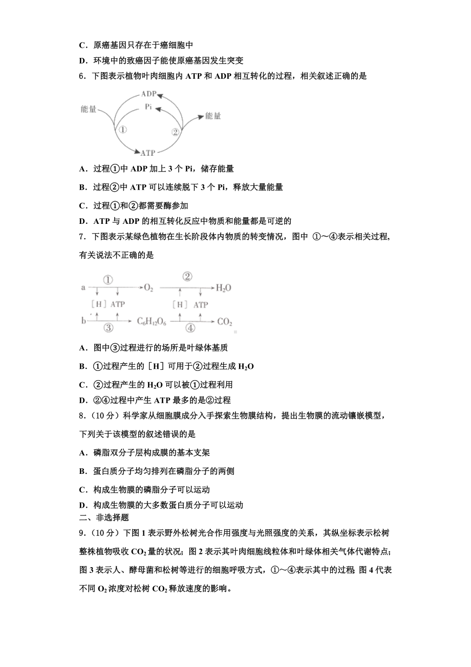 广西龙胜中学2023-2024学年生物高一上期末教学质量检测试题含解析.doc_第2页