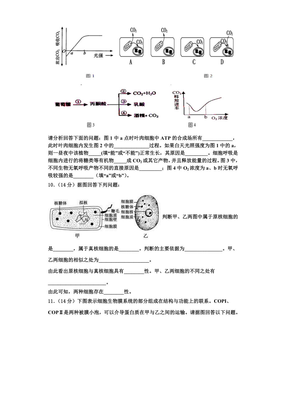 广西龙胜中学2023-2024学年生物高一上期末教学质量检测试题含解析.doc_第3页