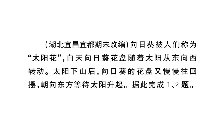 初中地理新人教版七年级上册期末专项二 地球的运动作业课件2024秋.pptx_第2页