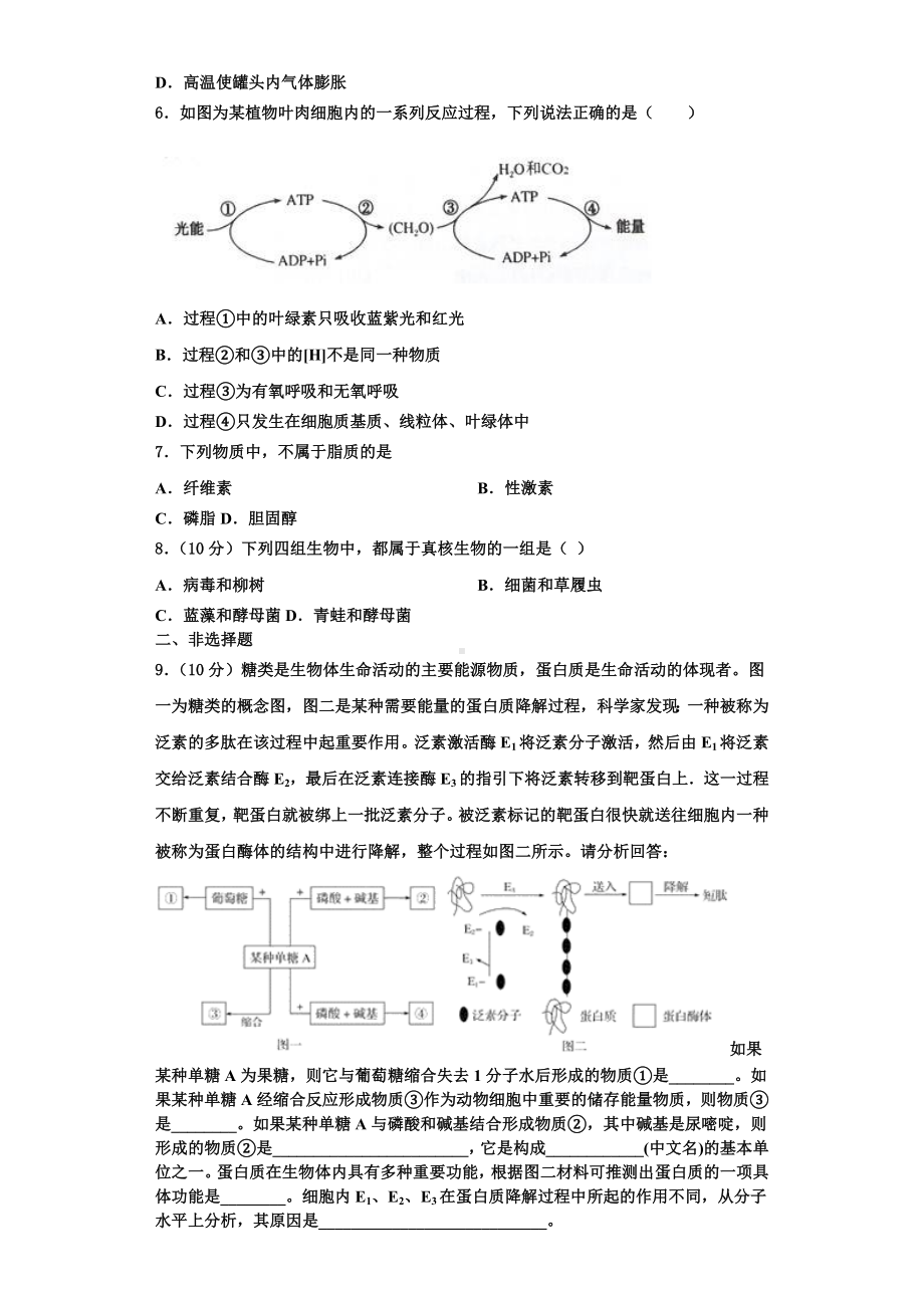 2023年广东省兴宁市一中高一生物第一学期期末达标检测试题含解析.doc_第2页