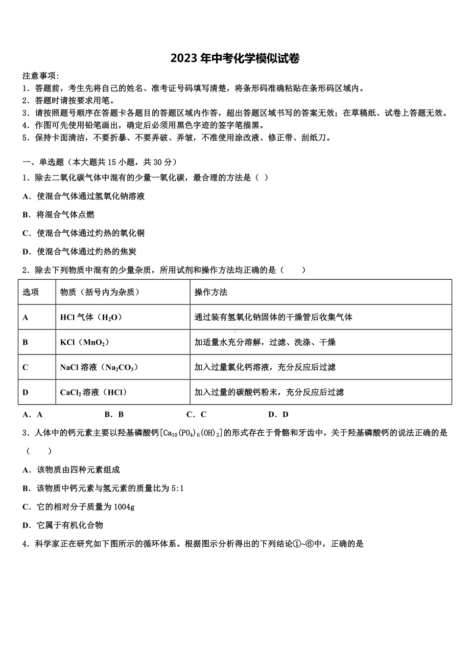 云南省盐津县达标名校2023届中考考前最后一卷化学试卷含解析.doc_第1页