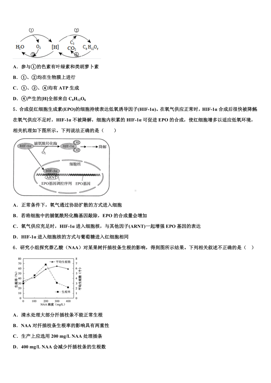 山东省昌邑市文山中学2024届高三第三次模拟考试生物试卷含解析.doc_第2页