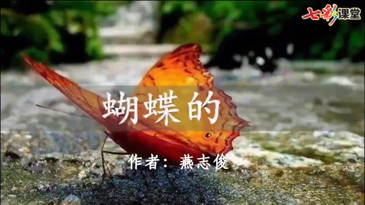 朗读08蝴蝶的家（视频）-（部）统编版四年级上册《语文》.mp4