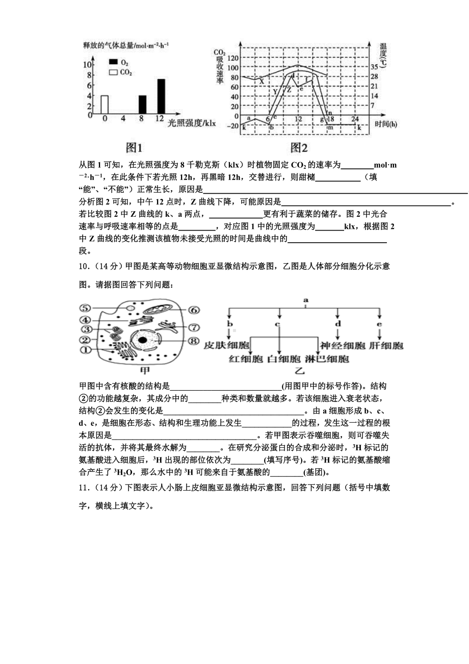 2023年上海市市西中生物高一上期末复习检测模拟试题含解析.doc_第3页