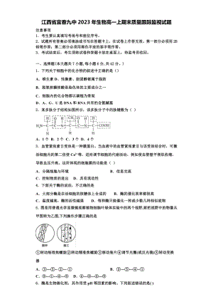 江西省宜春九中2023年生物高一上期末质量跟踪监视试题含解析.doc