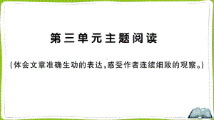 （部）统编版四年级上册《语文》第三单元主题阅读.pptx