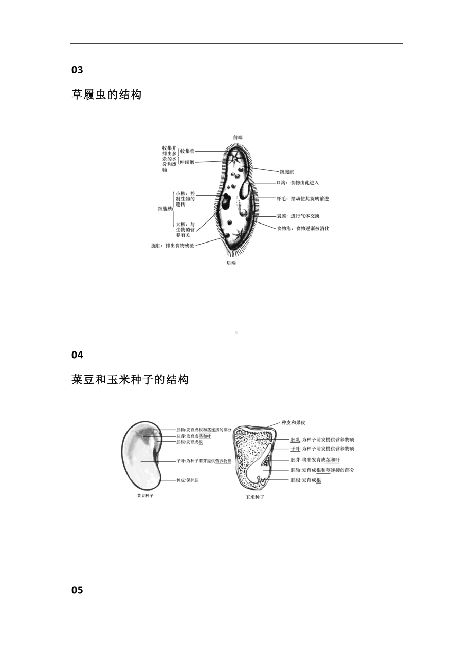 2024年(初中地理)知识结构史上最全汇总图文并茂非常形象.docx_第2页