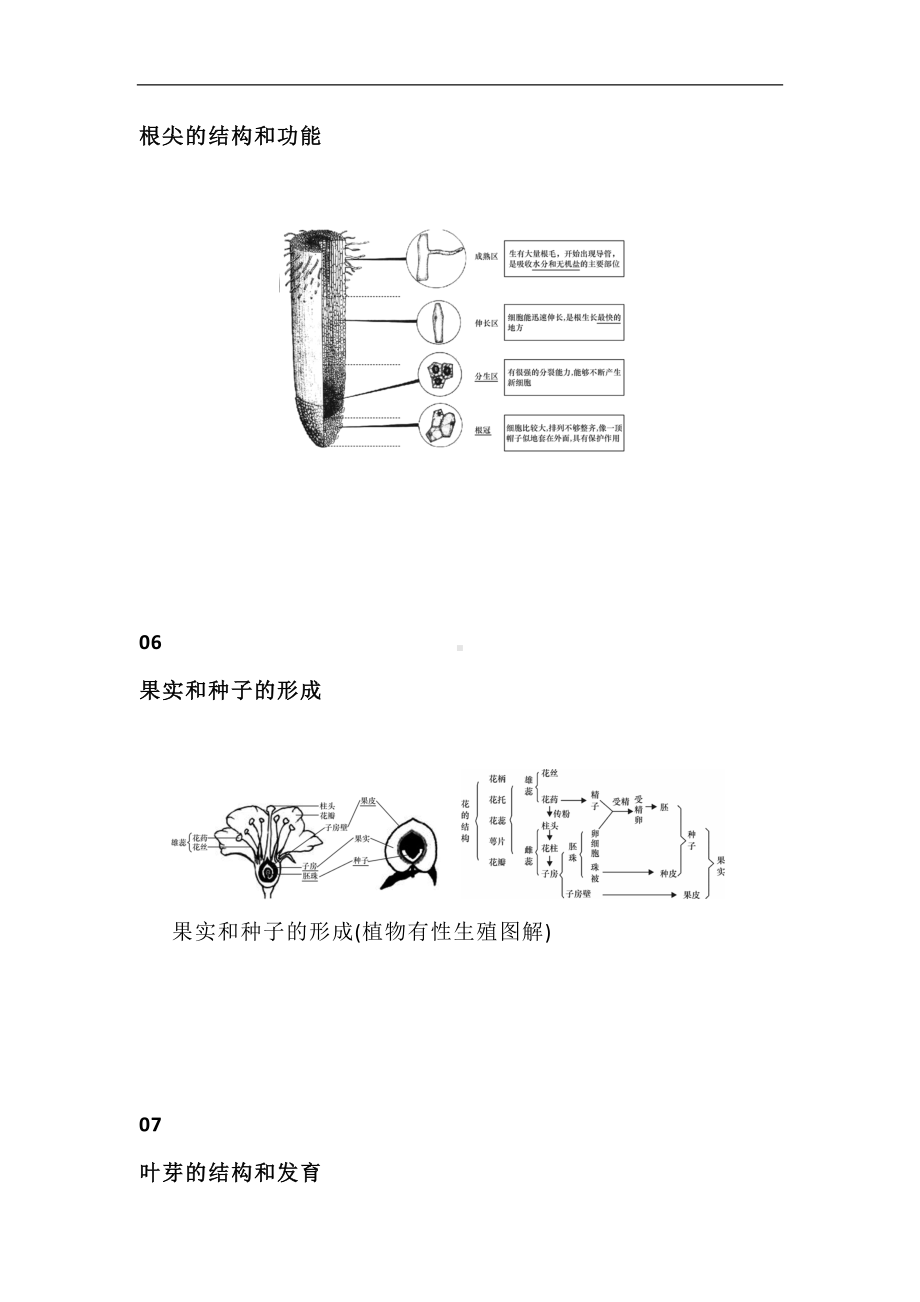 2024年(初中地理)知识结构史上最全汇总图文并茂非常形象.docx_第3页