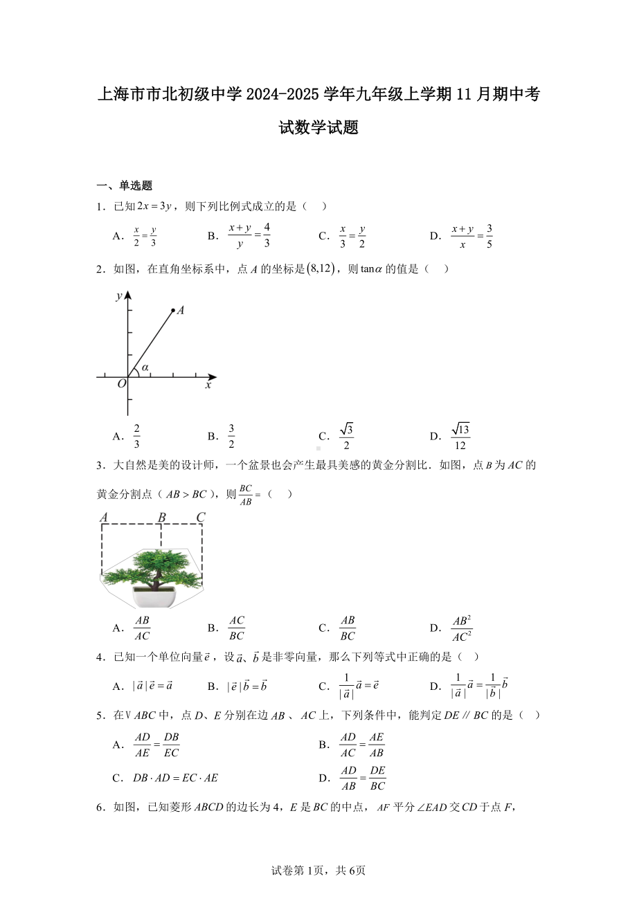 上海市市北初级中学2024-2025学年九年级上学期11月期中考试数学试题.pdf_第1页