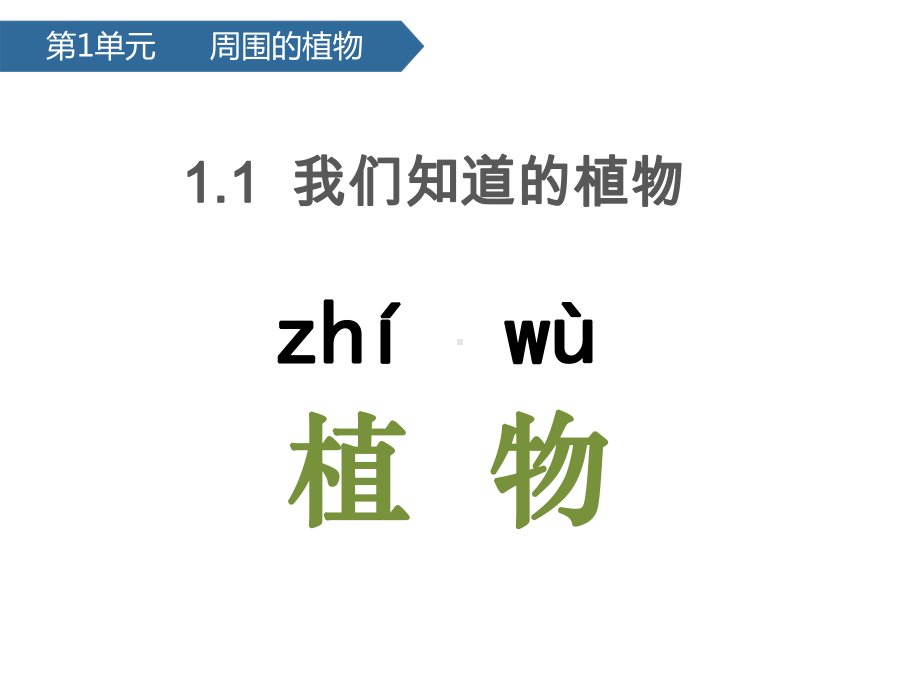 第1单元1我们知道的植物 ppt课件-2024新教科版一年级上册《科学》.pptx_第1页