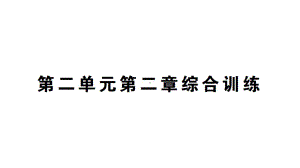 初中生物新人教版七年级上册第二单元 第二章 动物的类群综合训练作业课件2024秋.pptx