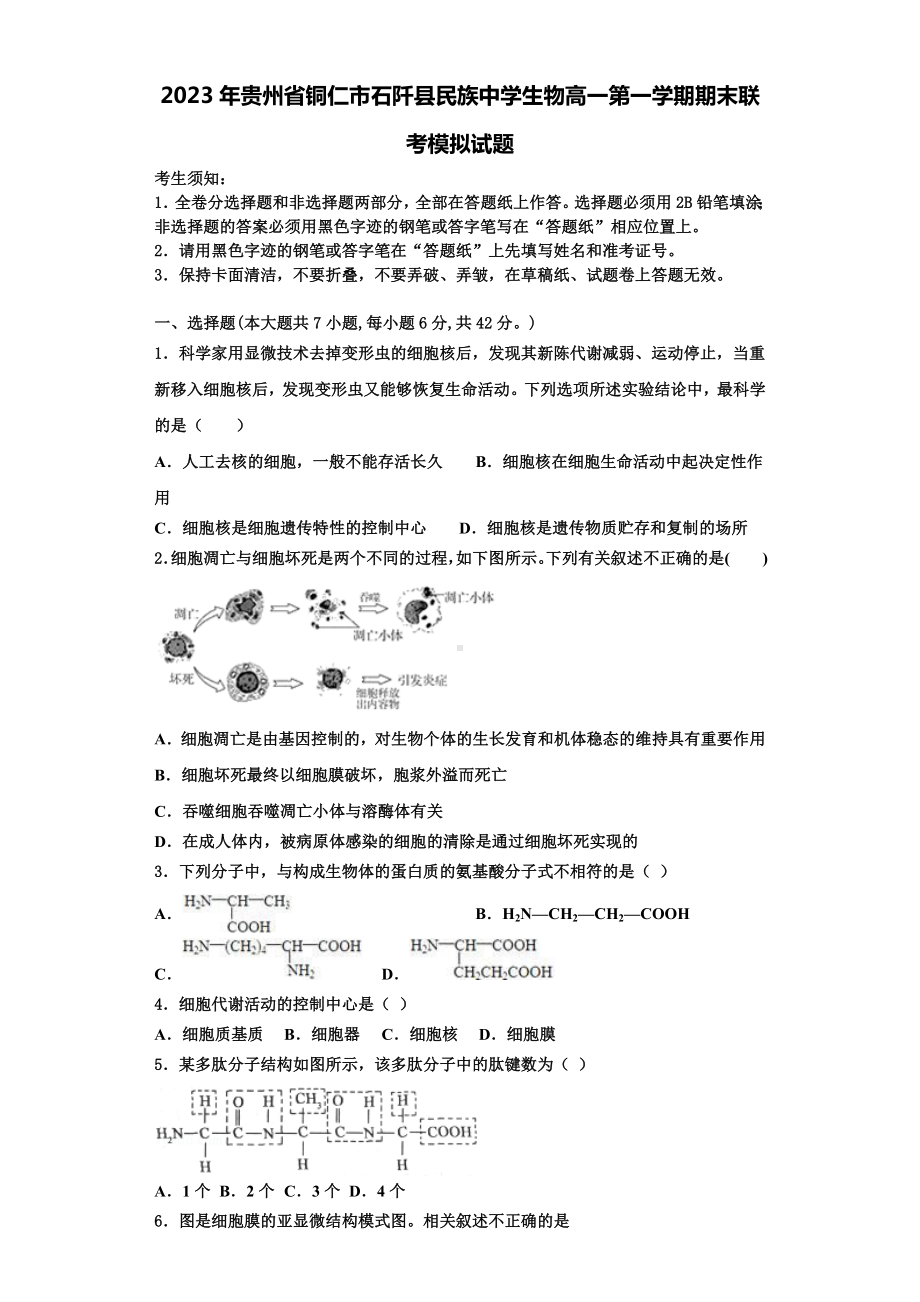 2023年贵州省铜仁市石阡县民族中学生物高一第一学期期末联考模拟试题含解析.doc_第1页