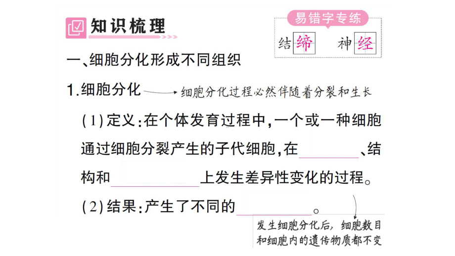 初中生物新人教版七年级上册第一单元第三章第二节 动物体的结构层次作业课件2024秋.pptx_第2页