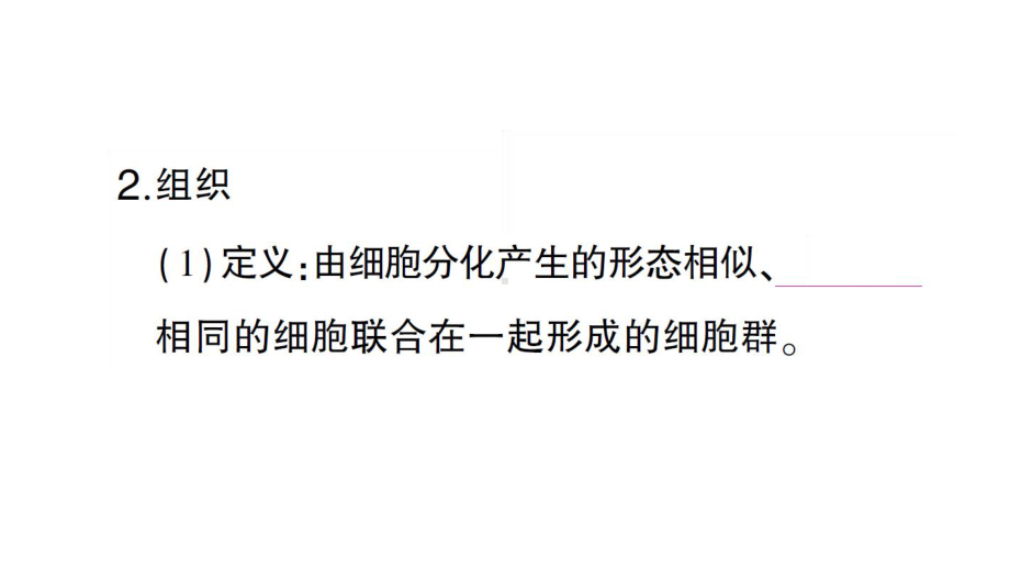 初中生物新人教版七年级上册第一单元第三章第二节 动物体的结构层次作业课件2024秋.pptx_第3页