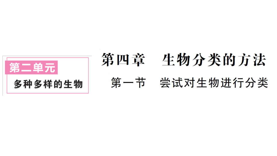 初中生物新人教版七年级上册第二单元第四章第一节 尝试对生物进行分类作业课件2024秋.pptx_第1页