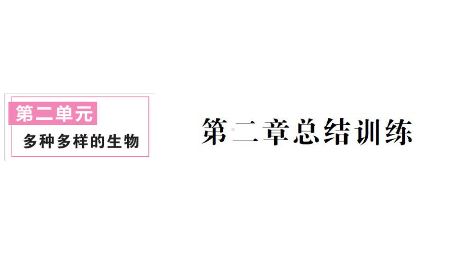 初中生物新人教版七年级上册第二单元第二章 动物的类群总结训练作业课件2024秋.pptx_第1页