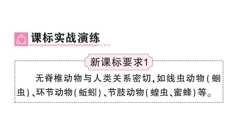 初中生物新人教版七年级上册第二单元第二章 动物的类群总结训练作业课件2024秋.pptx_第3页