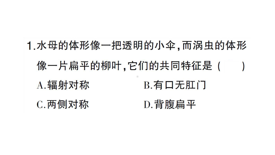 初中生物新人教版七年级上册第二单元第二章微专题二 动物的特征及与人类的关系作业课件2024秋.pptx_第2页