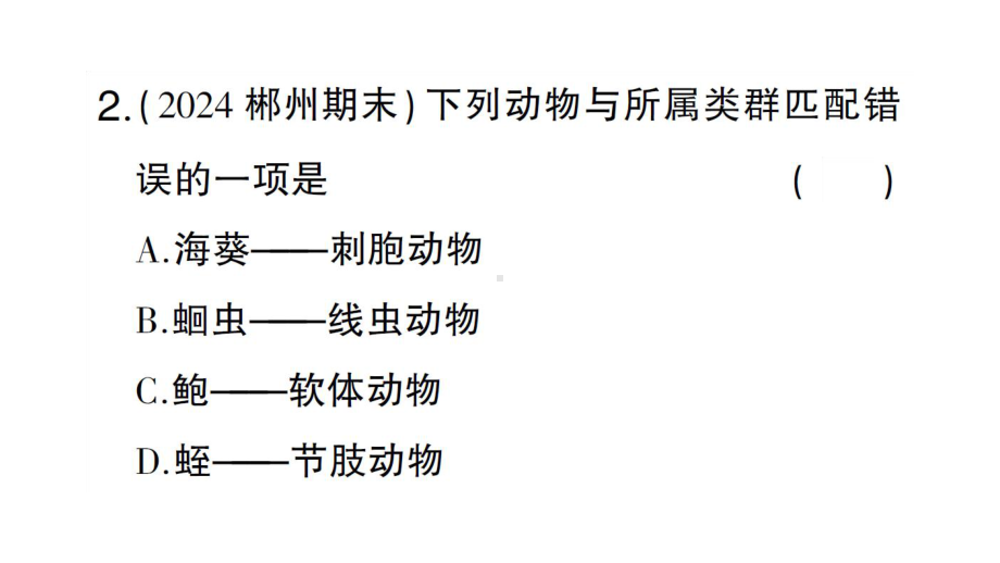 初中生物新人教版七年级上册第二单元第二章微专题二 动物的特征及与人类的关系作业课件2024秋.pptx_第3页