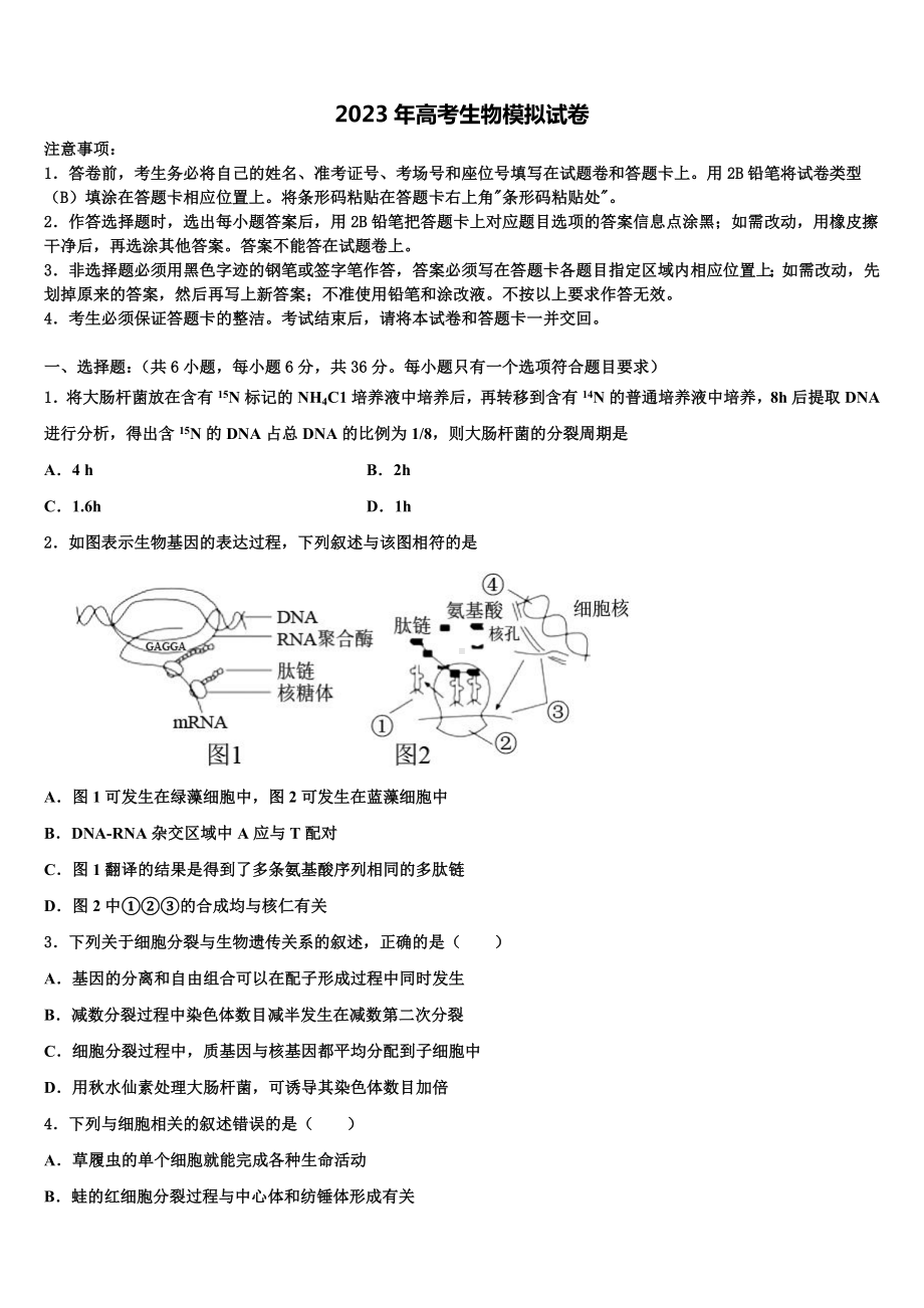 2023届浙南名校高考冲刺模拟生物试题含解析.doc_第1页