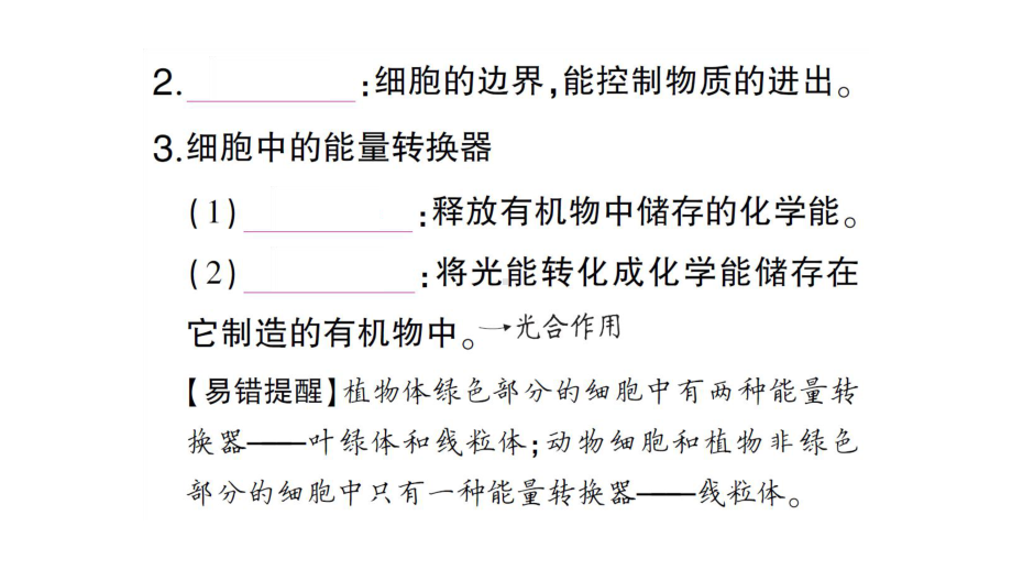 初中生物新人教版七年级上册第一单元第二章第四节 细胞的生活作业课件2024秋.pptx_第3页