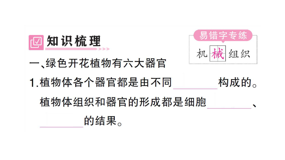 初中生物新人教版七年级上册第一单元第三章第三节 植物体的结构层次作业课件2024秋.pptx_第2页