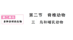 初中生物新人教版七年级上册第二单元第二章第二节三鸟和哺乳动物作业课件2024秋.pptx