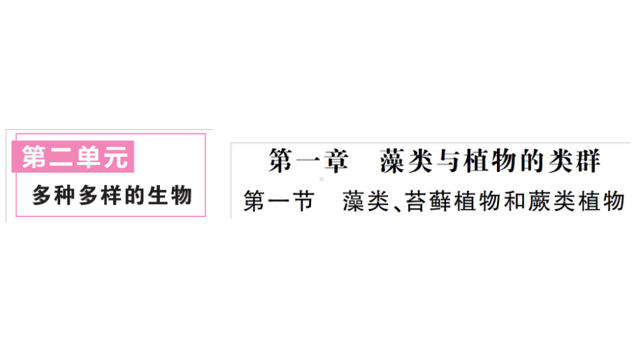 初中生物新人教版七年级上册第二单元第一章第一节 藻类、苔藓植物和蕨类植物作业课件2024秋.pptx_第1页