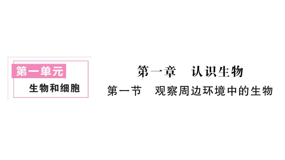 初中生物新人教版七年级上册第一单元第一章第一节 观察周边环境中的生物作业课件2024秋.pptx_第1页