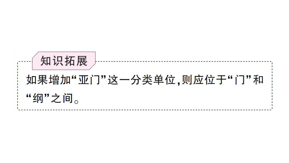 初中生物新人教版七年级上册第二单元第四章第二节 从种到界作业课件2024秋.pptx_第3页